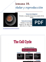 Introd Division Celular PyE 2021