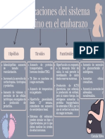 Modificaciones Del Sistema Endocrino en El Embarazo