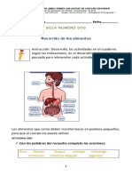 Guia Ciencias Naturales Grado 2