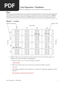 Kami Export - Gene Expression-Translation-S.1617553074