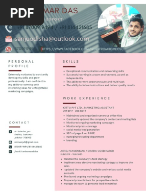 professional resume format