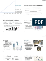 The Mechanisms of Evolution:: Review: What Are The Basic Principles of Natural Selection?