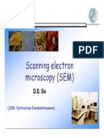 Scanning Electron Microscopy (SEM) : D.S. Su