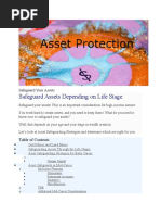 Safeguard Your Assets