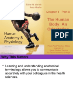 1.1 The Human Body An Orientation