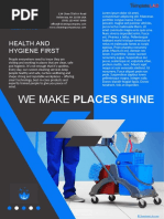 cleaning-company-profile-overview-pdf