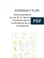 Inflorescencia y Flor 2014