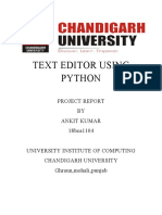 Python Text Editor Project Report