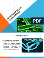 Historia y evolución del cultivo y uso de la Spirulina