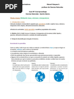 Guia 3 Quinto Basico