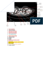 Anatomia Multiplanar