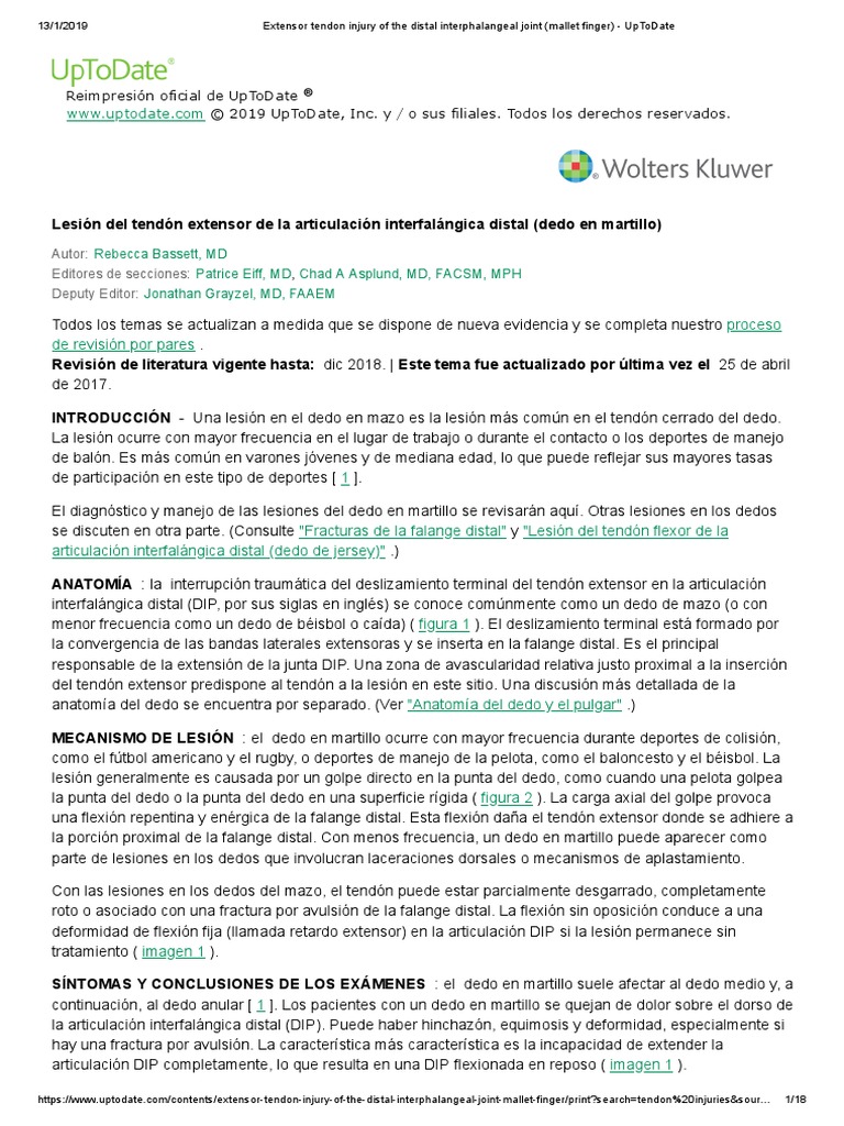 Extensor Tendon Injury of The Distal Interphalangeal Joint (Mallet