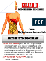 Kuliah II - Anatomi Sistem Pencernaan