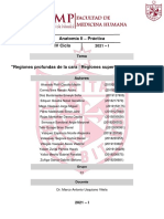 Anatomía Informe 4