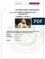 239324380 Shampo Para Perros y Gat Docx