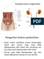 Anatomi Dan Fisiologi Sistem Urogenetalia