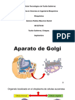 Aparato de Golgi-Esp