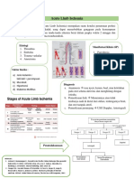 Acute Limb Ischemia (IFA)