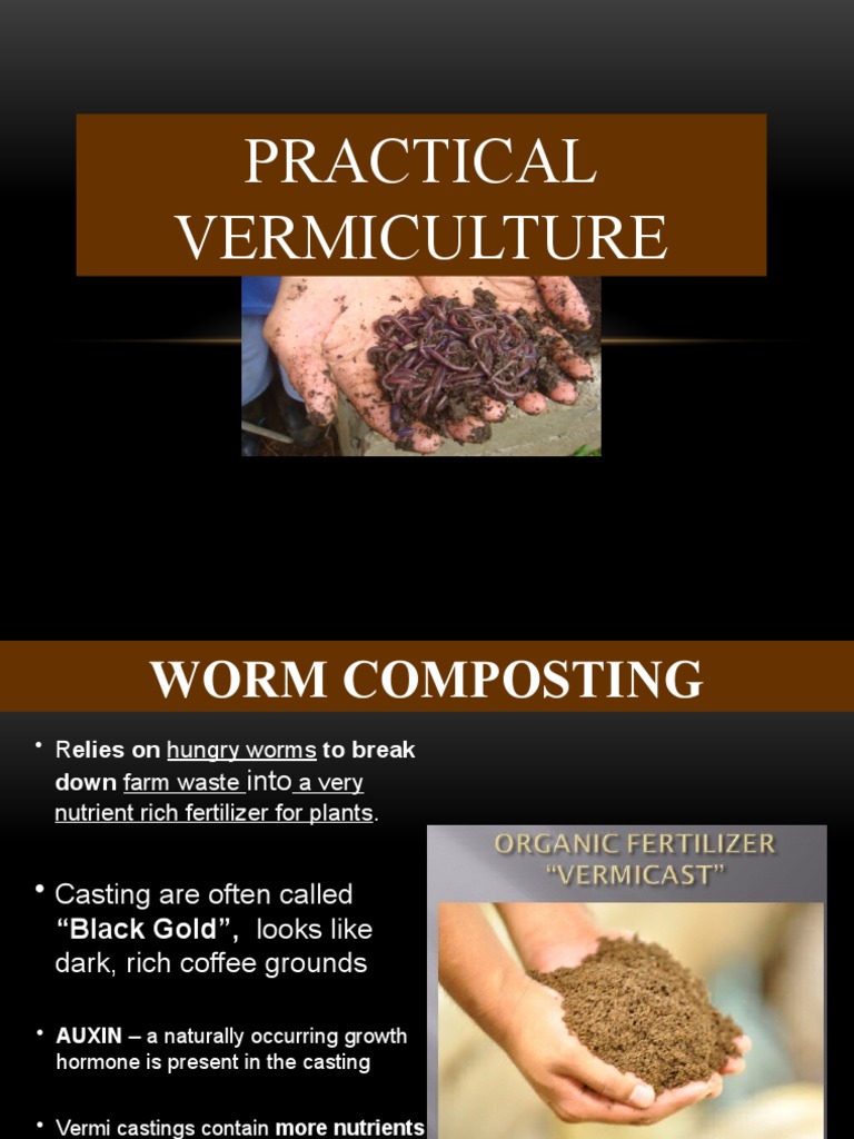 Vermiculture PDF Compost Fertiliser