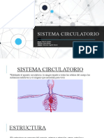 Sistema Circulatorio