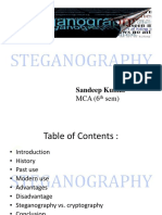 steganographyseminar-MCA (6th Sem) - 23s