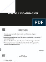 Heridas y Cicatrización