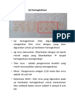 Skema Uji HA Dan HI