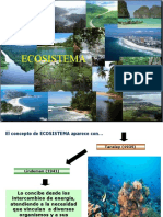 Ecosistema 2 y 3