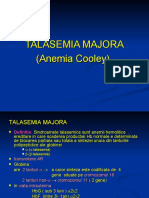 Talasemia Majora (Anemia Cooley)
