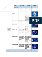 CUADRO DE NOMENCLATURA DE LA CABEZA (Autoguardado)