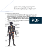 Definition Functions Anatomy Diseases