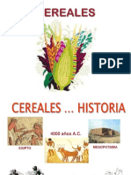 Cereales, INTRODUCCIÓN