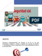 Seguridad Vial