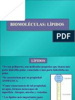 LIPIDOS