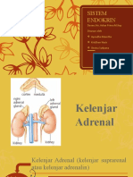 sistem endokrin - kelompok 3