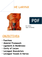 The Larynx: B.A. Hottor Dept. of Anatomy