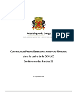 Ndc Congo Rapport