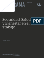 Seguridad, Salud y Bienestar en El Trabajo: Programa