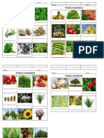 Plantas medicinales, alimenticias, ornamentales e industriales