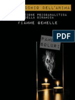 Libro Fiamme Gemelle Di Pamela Soluri