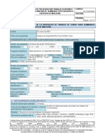 Formato-SEM - Especializado-Christian-Pinilla