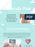 Desarrollo Fetal