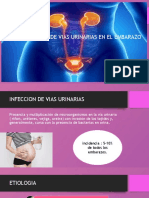 Infeccion de Vias Urinarias