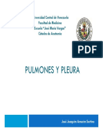 Preparaduria Pulmones y Pleura