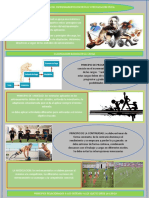 Infografia Principios Del Entrenamiento Deportivo