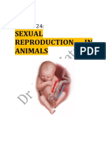 Open Chapter 24 Rep in Humans