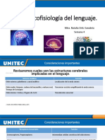 Contenido Semanal 4 Neuropsicofisiología Del Lenguaje