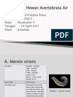21 PPT 5 SP Avert Annelida-Ronald Pratama Putra-L1B020021