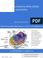 Struttura e Funzione Della Cellula-1