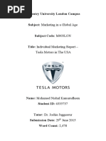 Tesla Green Marketing Plan